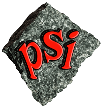 Optimum Petroleum Services Inc